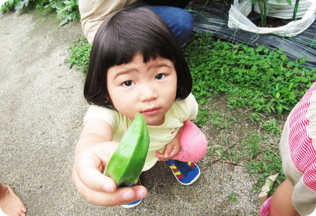 野菜とおともだち