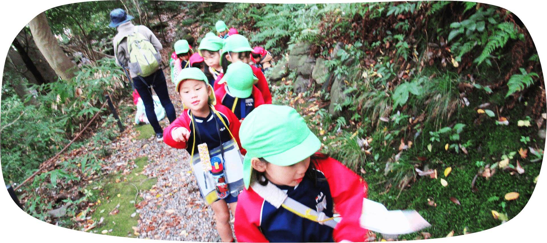 自然がいっぱい！