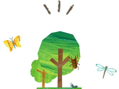 自然がいっぱい！