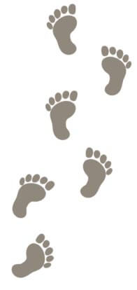 お散歩だいすき！