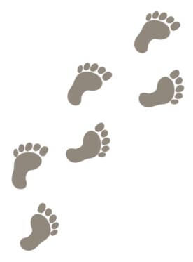 お散歩だいすき！