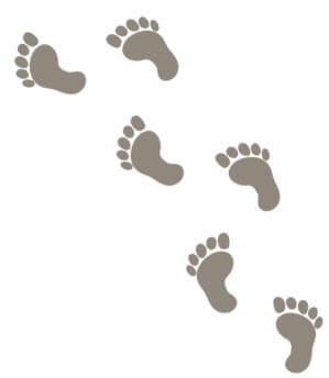 たくさん歩こう！