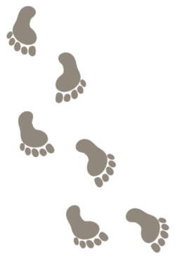 たくさん歩こう！